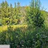 Działka budowlana Cisownica. Zdjęcie 1