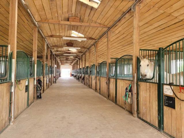 Nieruchomość komercyjna Sady. Zdjęcie 1