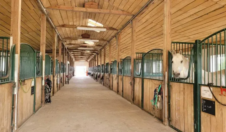 Nieruchomość komercyjna Sady