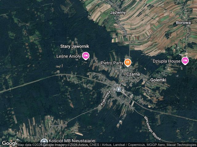 Działka rolna Czarna, ul. Mickiewicza. Zdjęcie 1