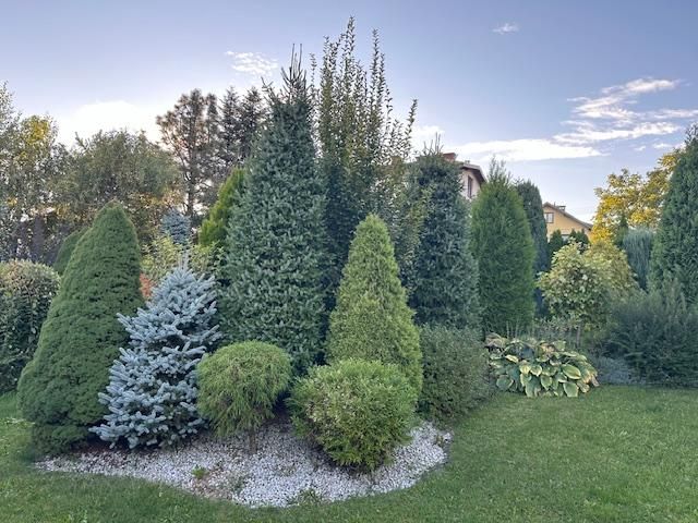 dom wolnostojący, 4 pokoje Bielsko-Biała Lipnik, Władysława Kiernika. Zdjęcie 42