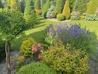 dom wolnostojący, 4 pokoje Bielsko-Biała Lipnik, Władysława Kiernika. Zdjęcie 229