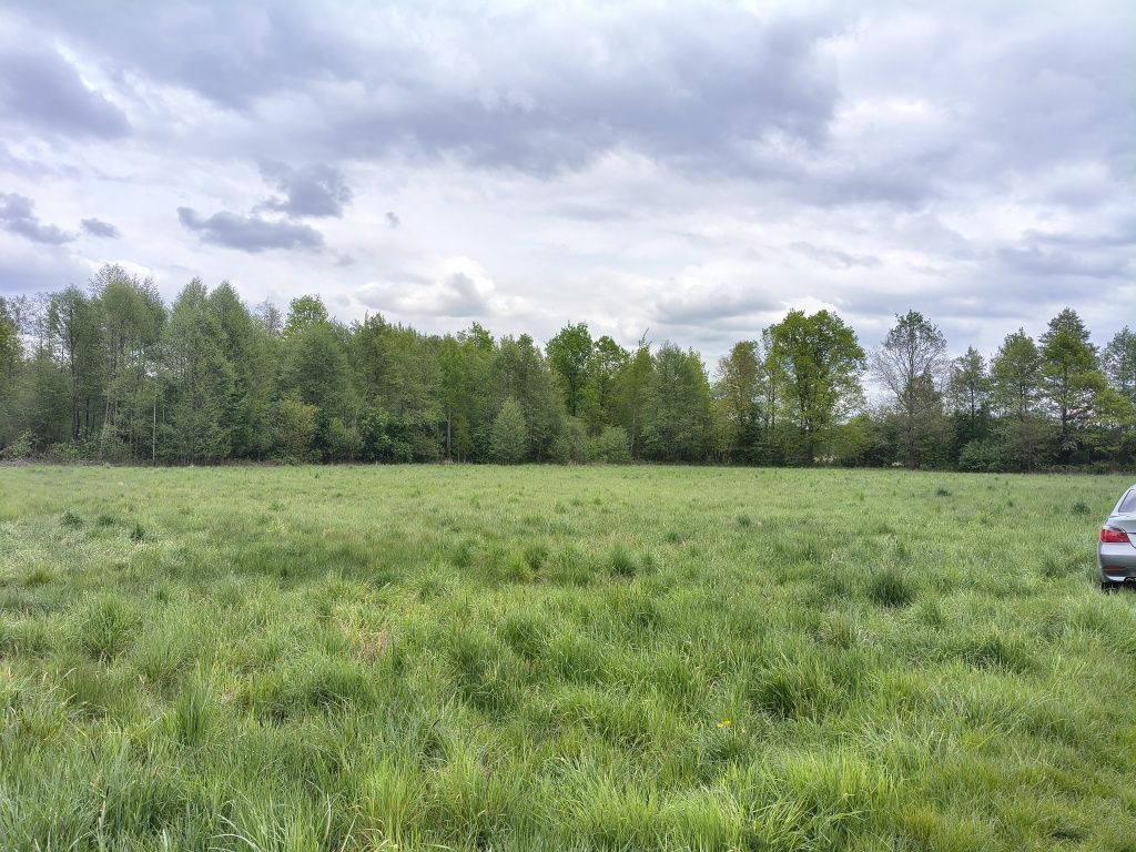 Działka rolno-budowlana Studzieniec. Zdjęcie 1