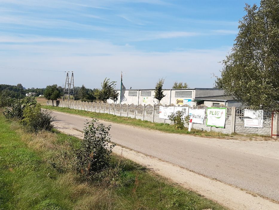 Działka rolno-budowlana Kąty. Zdjęcie 5