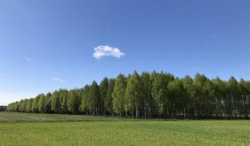 Działka leśna Werpol