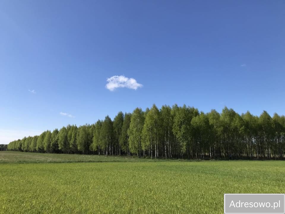 Działka leśna Werpol. Zdjęcie 2