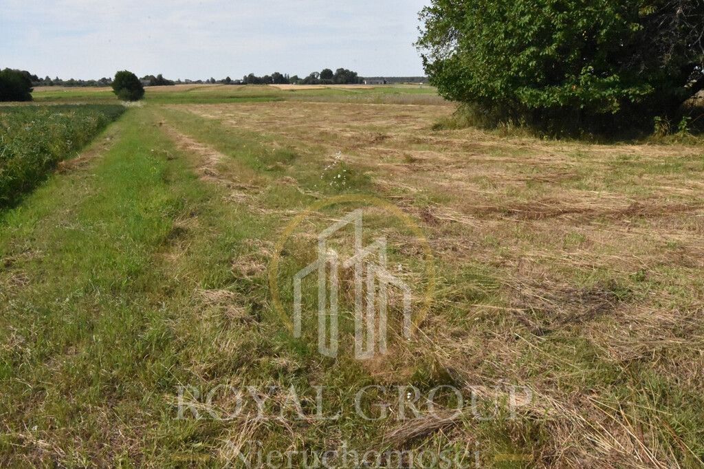 Działka siedliskowa Siedliska. Zdjęcie 4