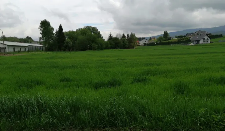 Działka budowlana Łodygowice, ul. Wspólna