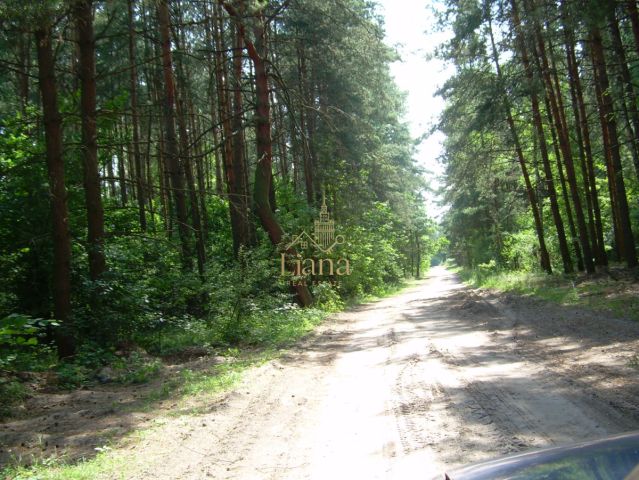 Działka budowlana Kobyla. Zdjęcie 10