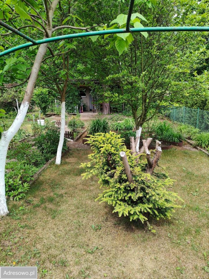 Działka rod Łódź Bałuty, ul. Krajowa. Zdjęcie 10