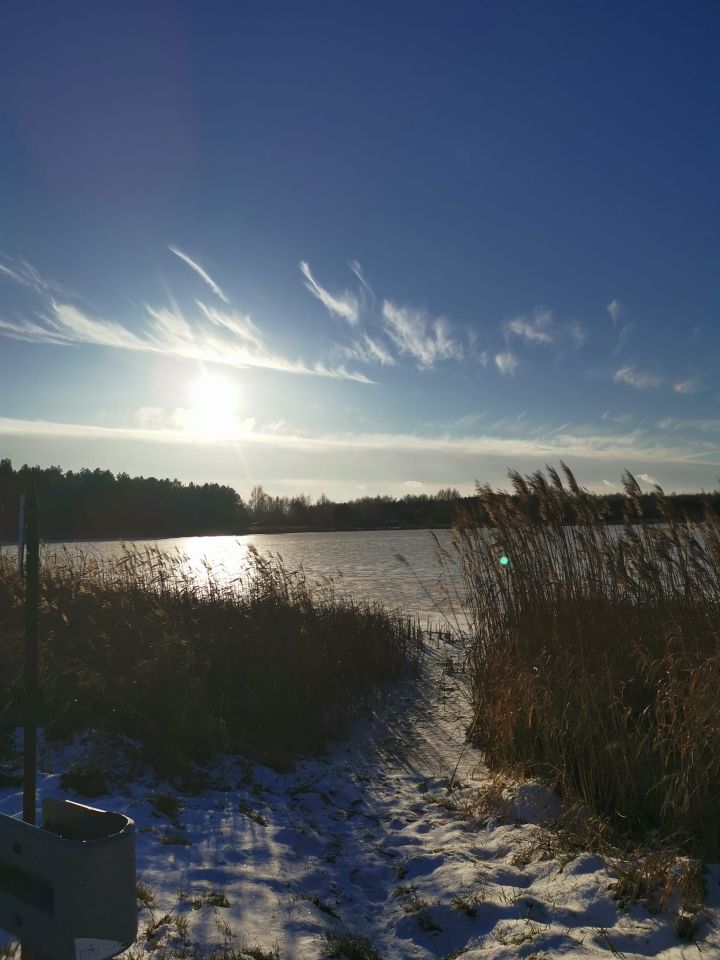 Działka budowlana Wola Korybutowa Druga. Zdjęcie 5