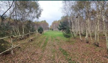 Działka budowlana Strzyżewo Paczkowe