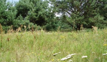 Działka siedliskowa Nagodów