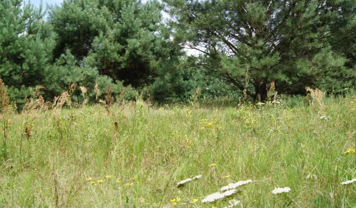 Działka budowlana Nagodów