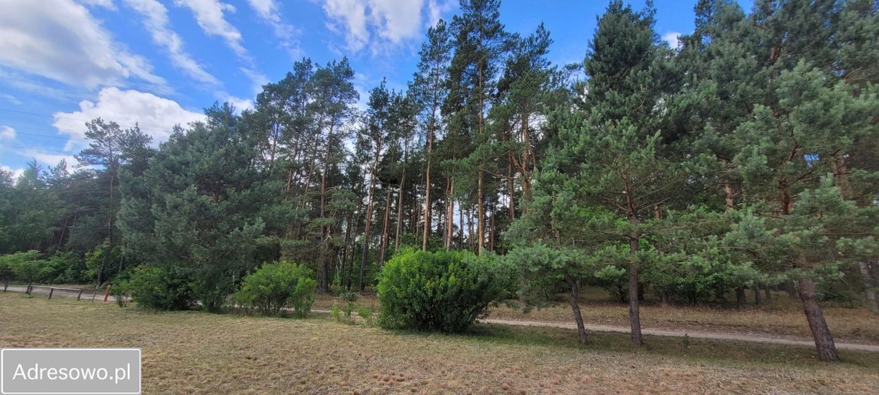 Działka budowlana Dolna Grupa. Zdjęcie 4