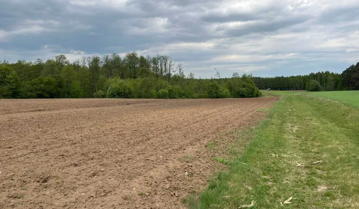 Działka rolna Puszcza Miejska