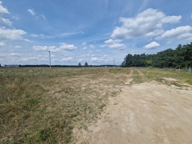 Działka rolna Krajęczyn. Zdjęcie 2