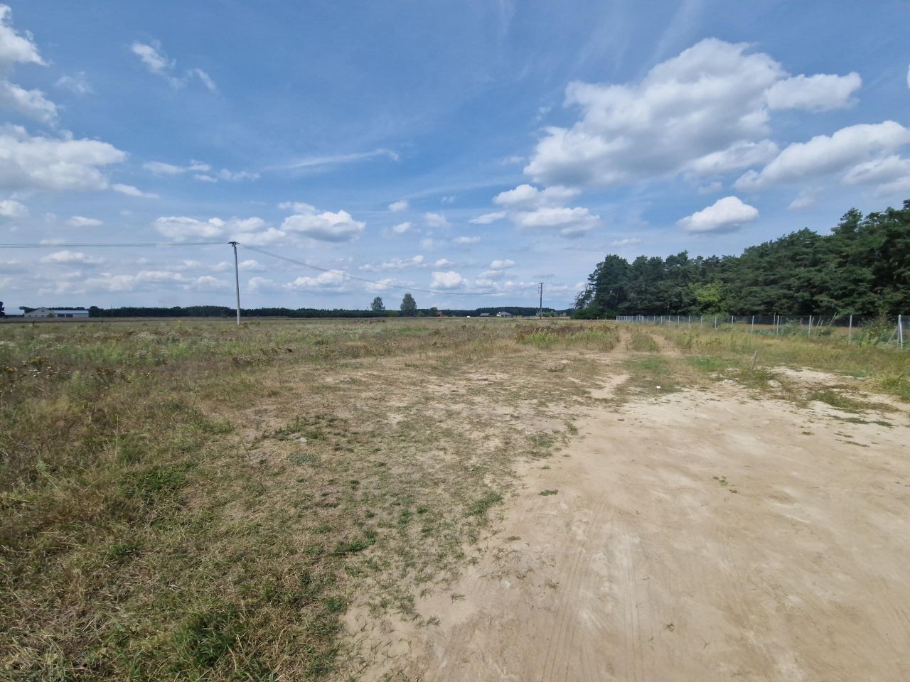 Działka rolna Krajęczyn. Zdjęcie 2