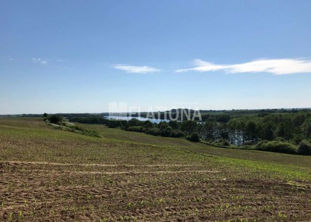 Działka rolna Wałdowo. Zdjęcie 1