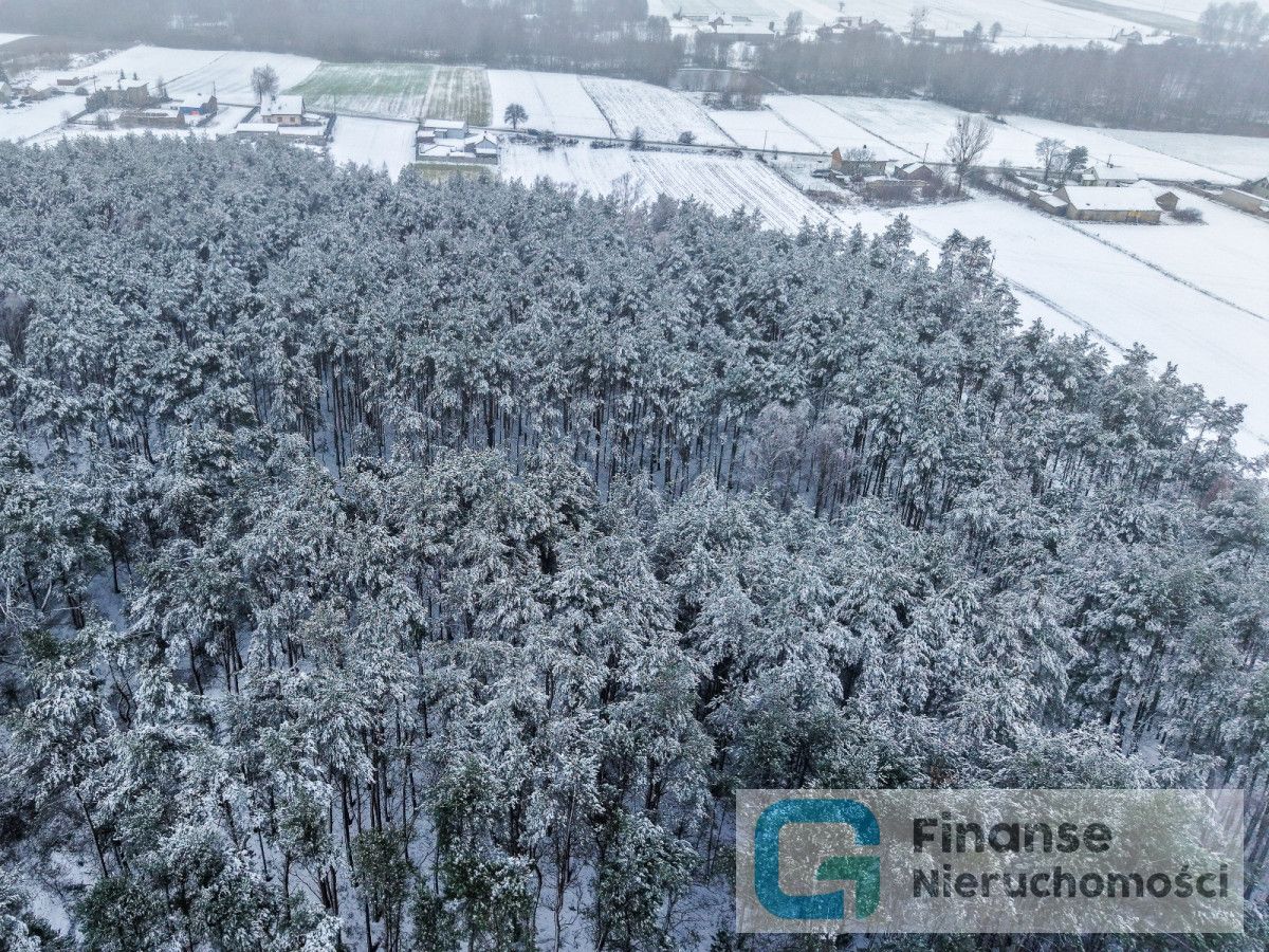 Działka budowlana Kochanów. Zdjęcie 7