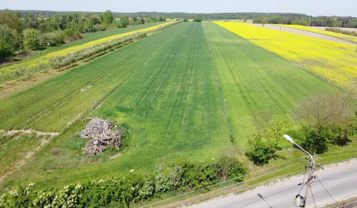 Działka budowlana Ulów