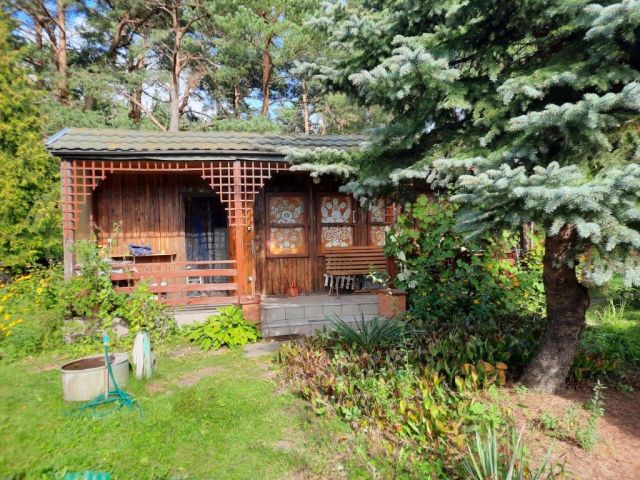 Działka rekreacyjna Wistka Królewska. Zdjęcie 1