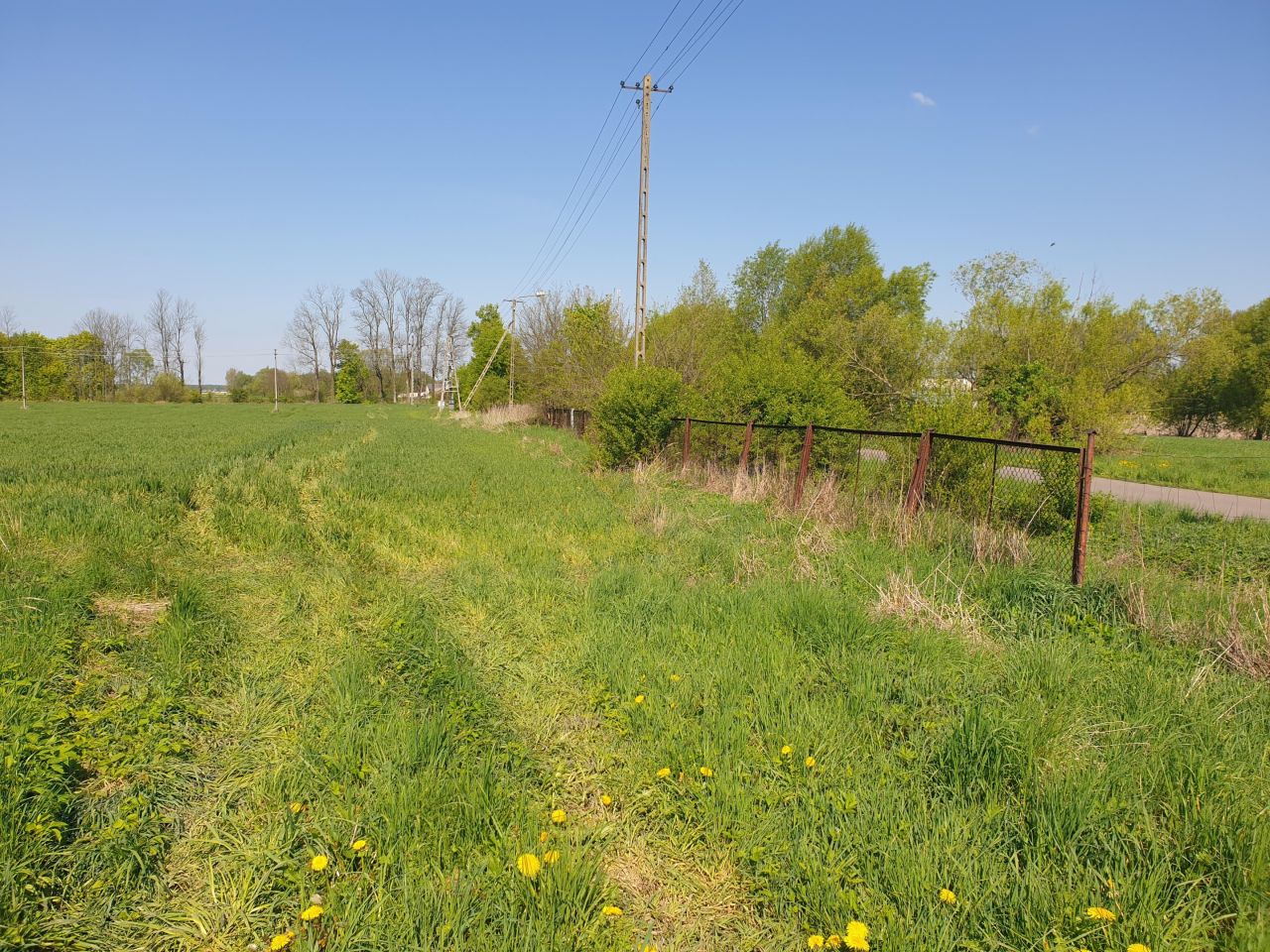 Działka inna Bezwola Rokosz, ul. Bezwola Stara Wieś. Zdjęcie 5