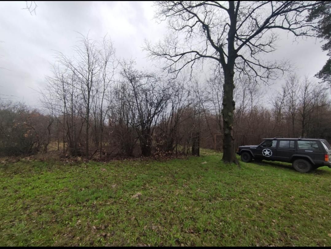 Działka rolna Wincentów. Zdjęcie 3