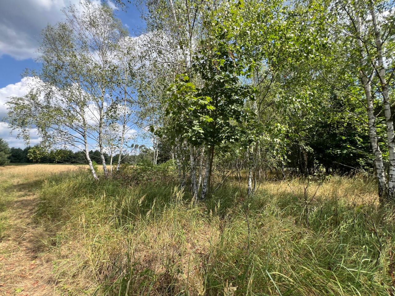 Działka budowlana Nowa Schodnia, ul. Opolska. Zdjęcie 7