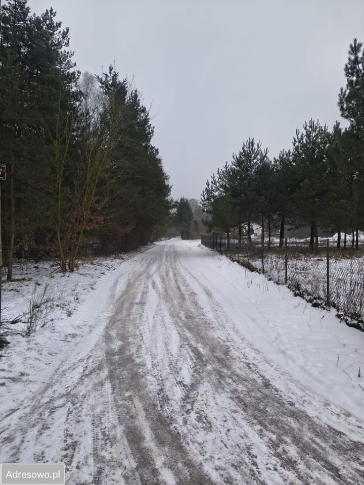 Działka inwestycyjna Kolonia Głowa, ul. Główna. Zdjęcie 3