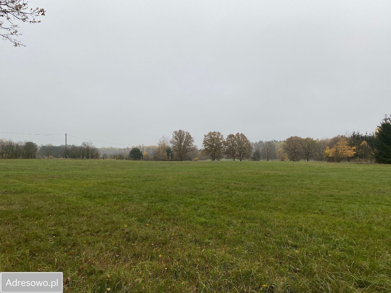 Działka budowlana Mosina. Zdjęcie 3