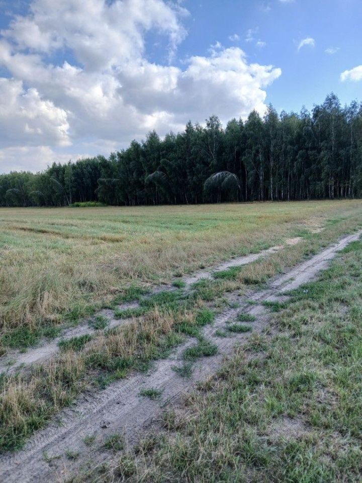 Działka budowlana Niwiski. Zdjęcie 4