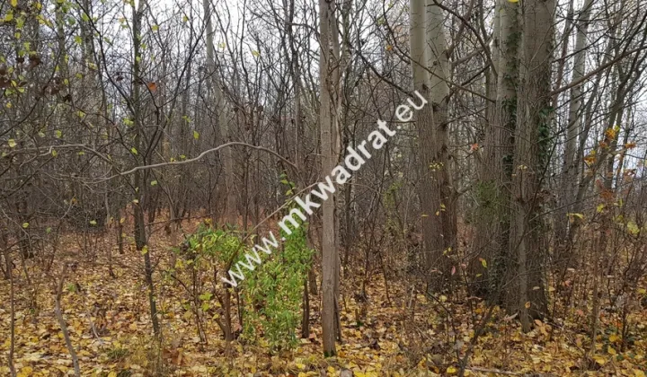 Działka budowlana Terenia