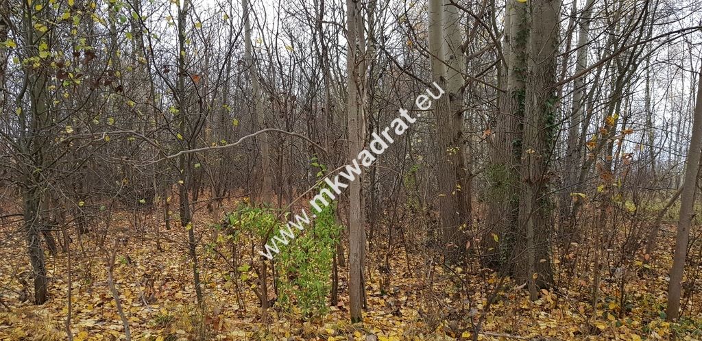 Działka budowlana Terenia. Zdjęcie 1