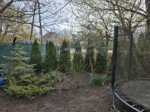 Działka rod Warszawa Mokotów. Zdjęcie 2