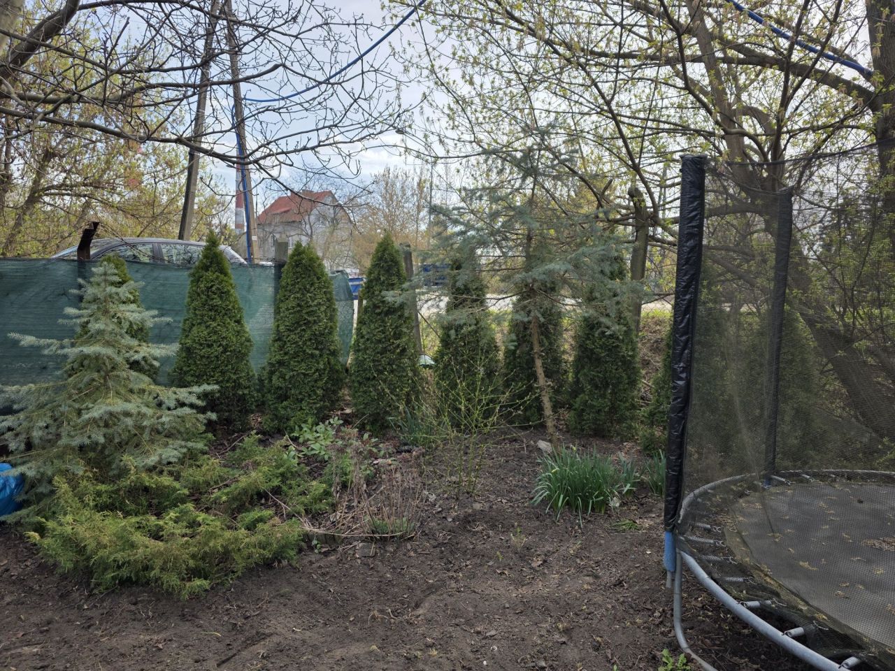 Działka rod Warszawa Mokotów. Zdjęcie 3