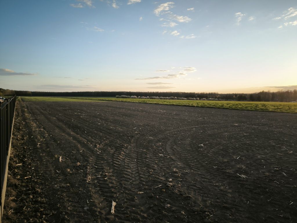 Działka rolno-budowlana Nowe Wierzbowo. Zdjęcie 4
