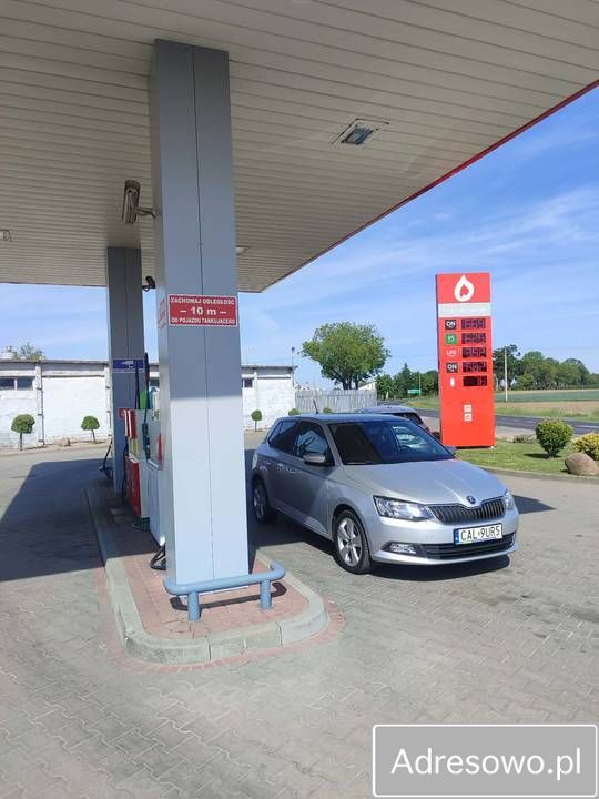 Działka inwestycyjna Służewo. Zdjęcie 12