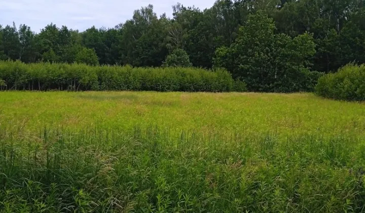 Działka rolna Przebendów