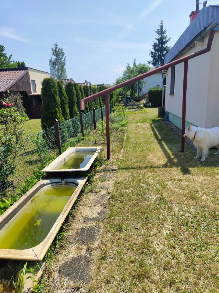 Działka rod Częstochowa Błeszno. Zdjęcie 7