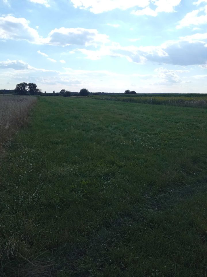 Działka rolna Koprzywnica. Zdjęcie 4