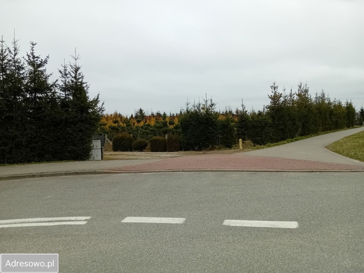 Działka rolna Nowa Wieś Ełcka, ul. Nowowiejska. Zdjęcie 2