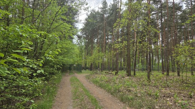 Działka rekreacyjna Kępa. Zdjęcie 1