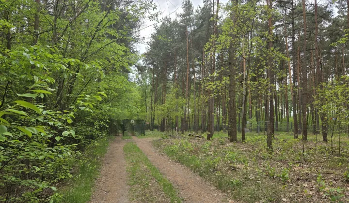 Działka rekreacyjna Kępa