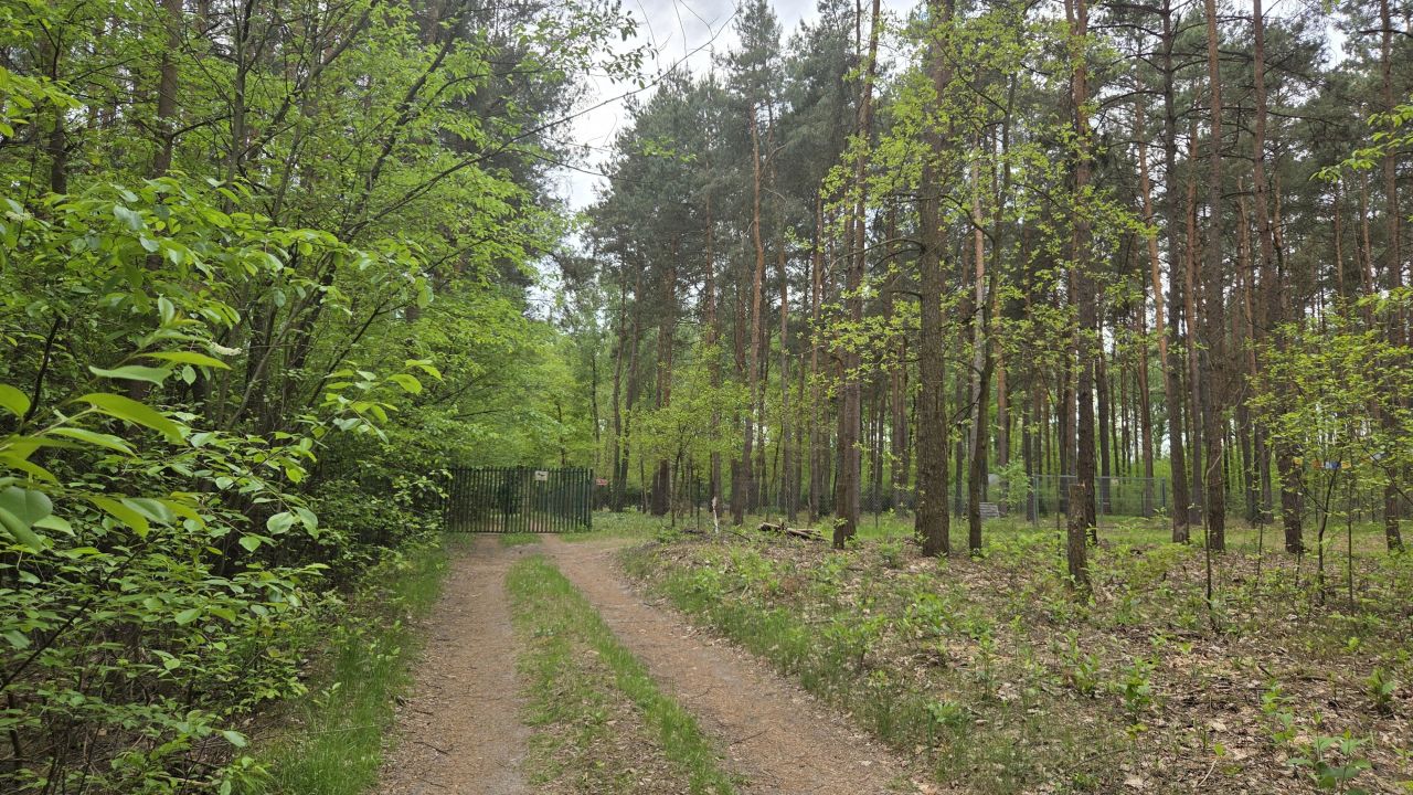 Działka rekreacyjna Kępa