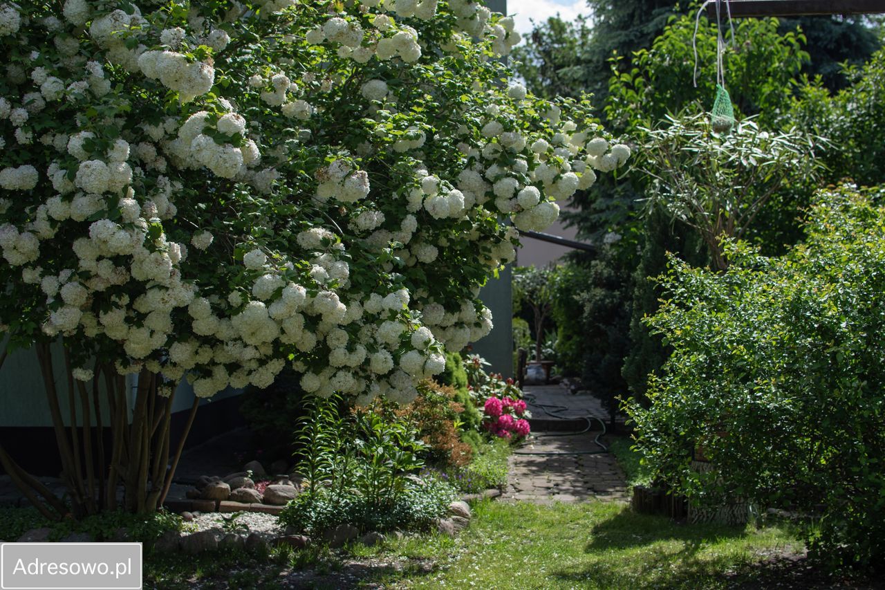 bliźniak, 6 pokoi Legionowo. Zdjęcie 6