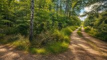Działka rolno-budowlana Świętochów. Zdjęcie 1