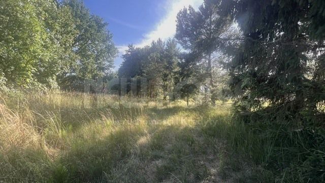Działka budowlana Tanowo. Zdjęcie 11