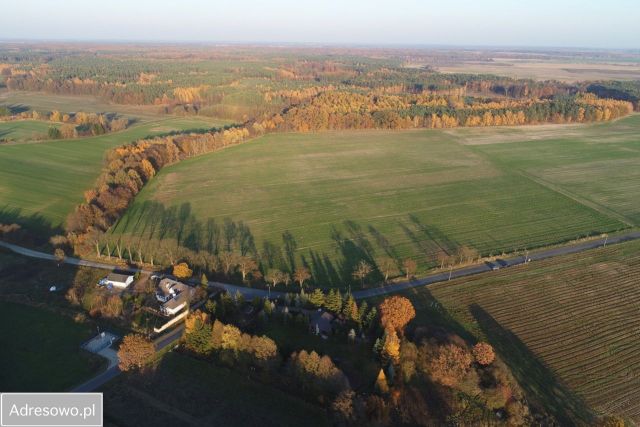 Działka budowlana Długa Goślina. Zdjęcie 1