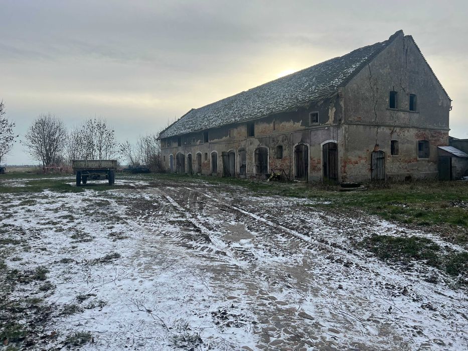 Działka rolno-budowlana Jenkowice. Zdjęcie 4